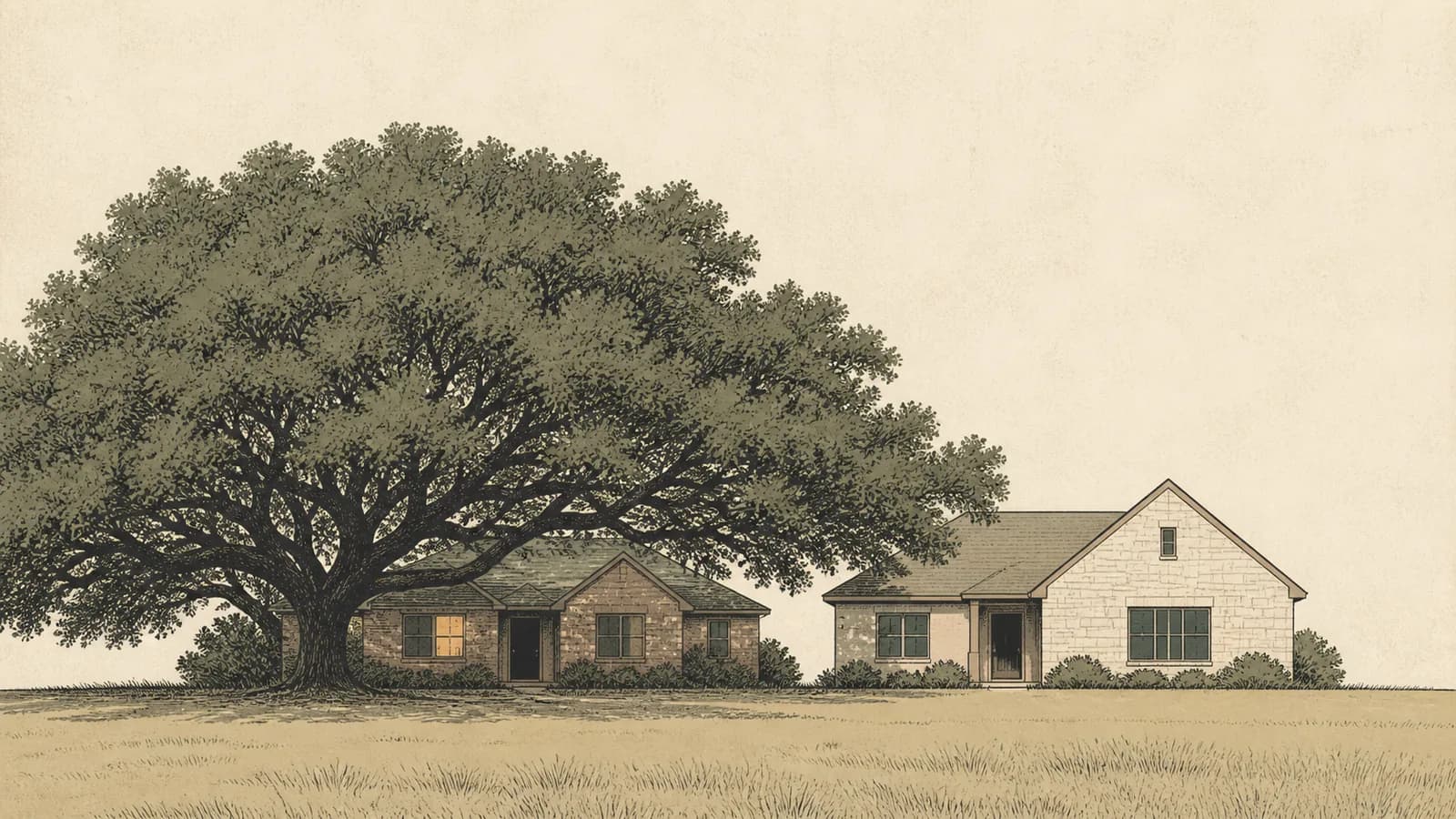 Illustration of an older and a newer house under one large oak canopy that covers only one of them.