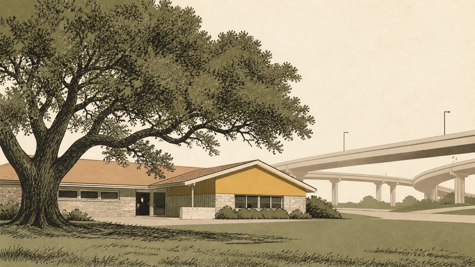 Illustration of a mid-century ranch house partly hidden by an overgrown oak, with a highway interchange behind.