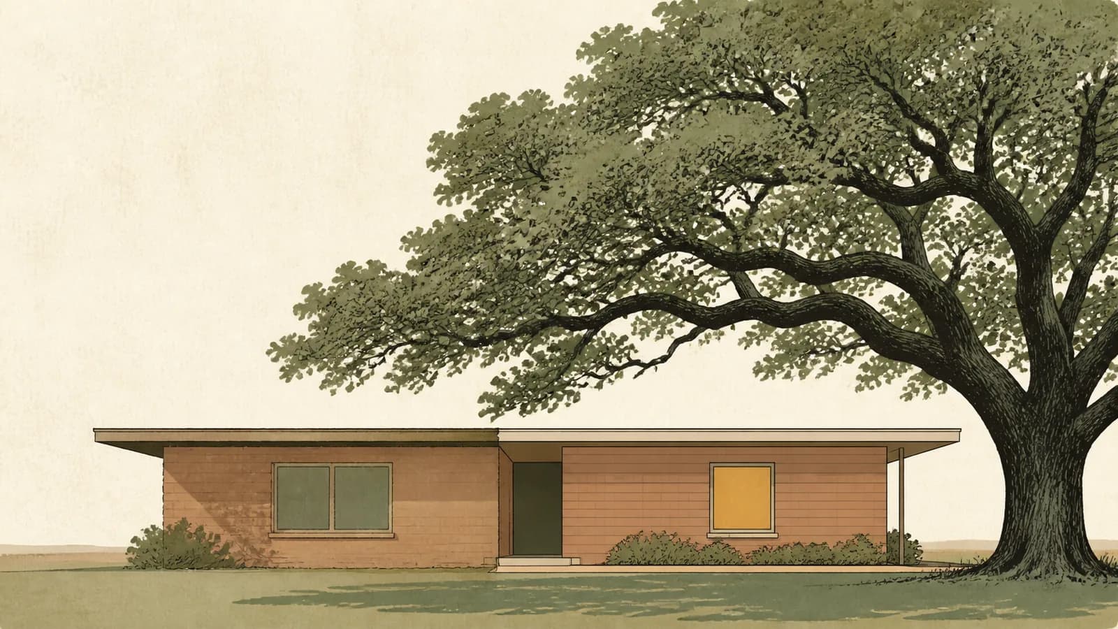 Illustration of a low mid-century house under a large oak with one half of the facade crisper.
